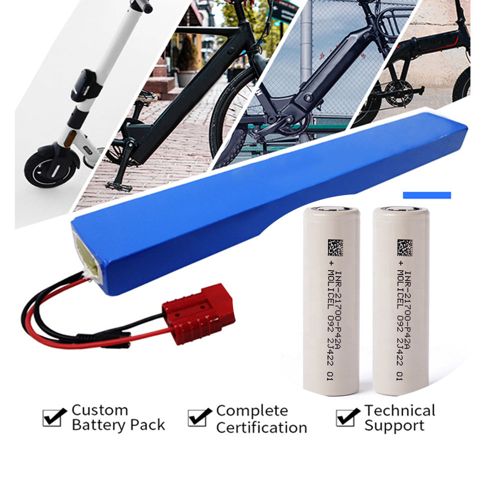 High Quality Brand Fish Box New a Grade Batteries Lithium Battery Electric Bike Lithium Battery Silver 48v15ah 48V 60V 1 Years