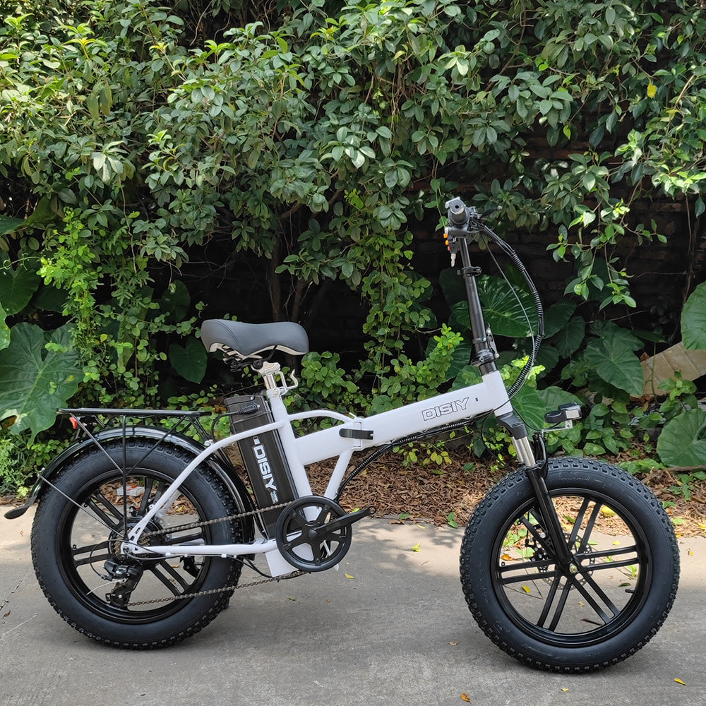 DISIYUAN Fat Ebike 1000W Full Suspension Folding E Bike Electric Bike Bicycle City Fat Tire Mountain Bike