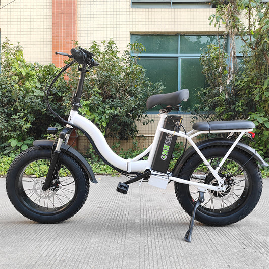 DISIYUAN Folding Step Through Electric Bicycle 20 Inch Fat Tire 750w Ebike 500w 350W 48v Electric Bike 7 Speeds ebike