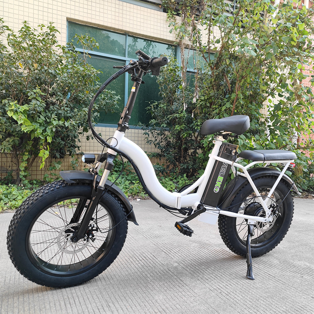 DISIYUAN Folding Step Through Electric Bicycle 20 Inch Fat Tire 750w Ebike 500w 350W 48v Electric Bike 7 Speeds ebike