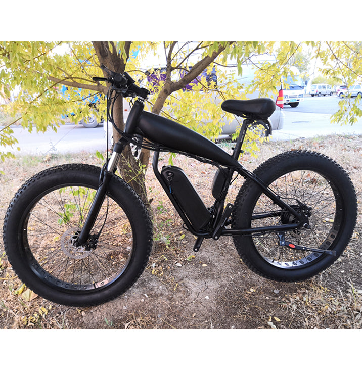 DISIYUAN Electric Mountain Bicycle E MTB Battery Electric Bicycle Off-Road Fat Tire Electric Bike 1000w Ebike