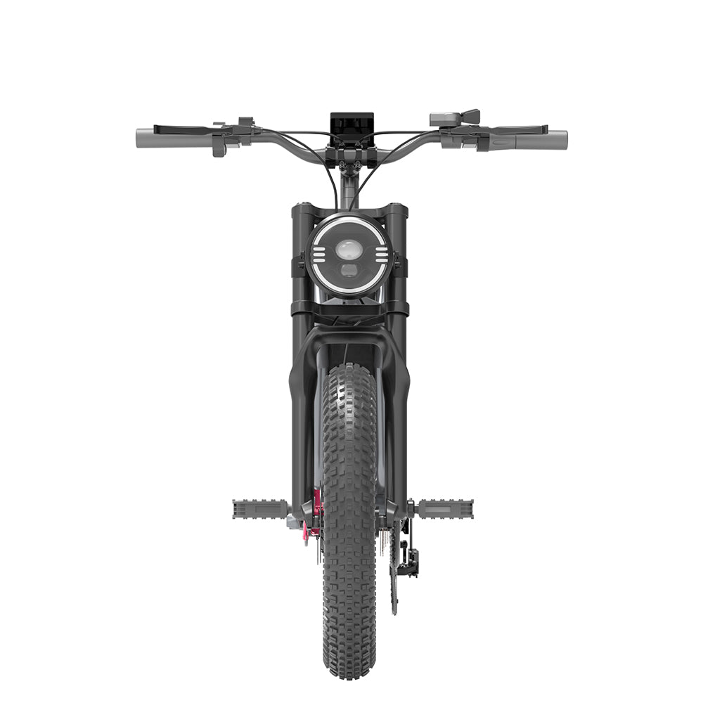 DISIYUAN 20*4.0 500W 750W 1000W big power Fat tire electric Mountain E bike/Snow bike/electric bicycle