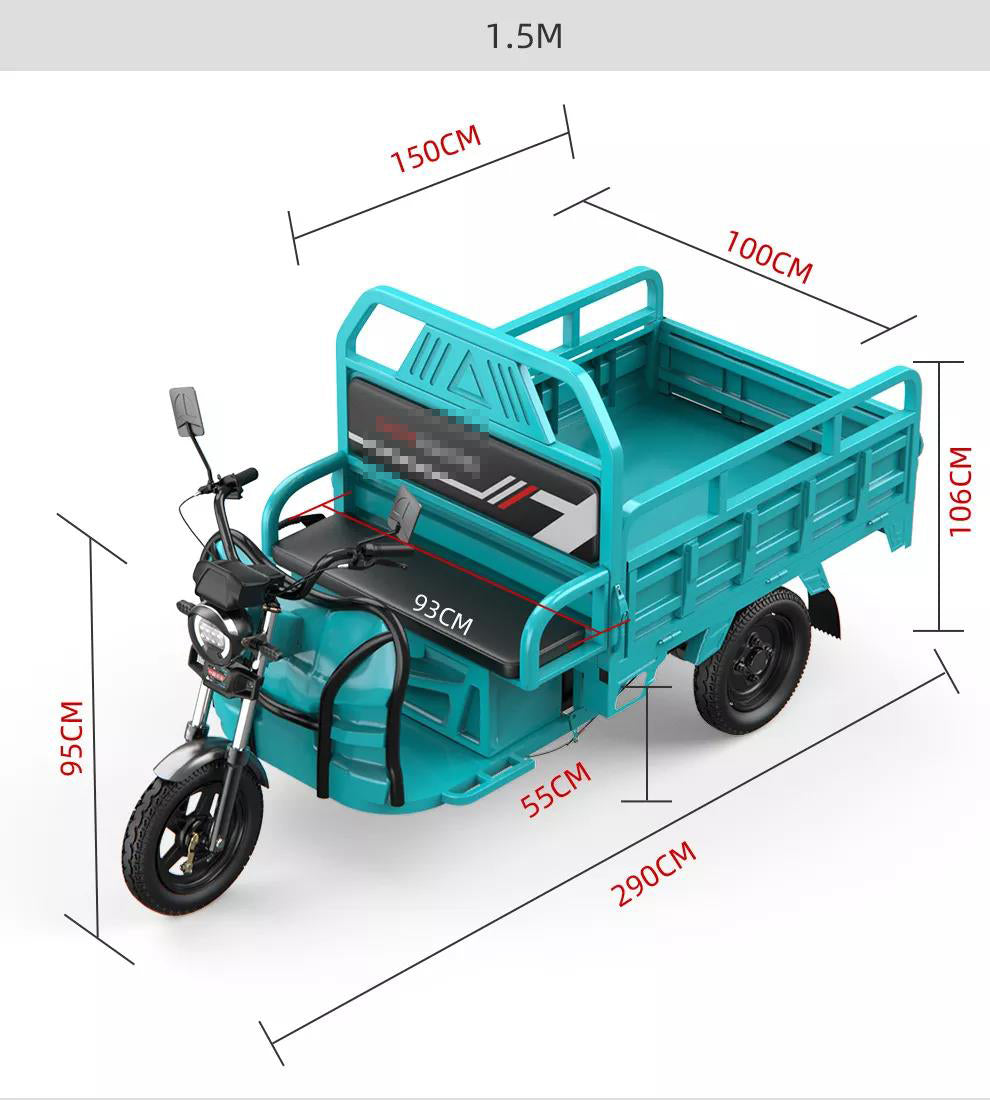 DISIYUAN family electric cargo bike tricycle 3 wheel motorcycle