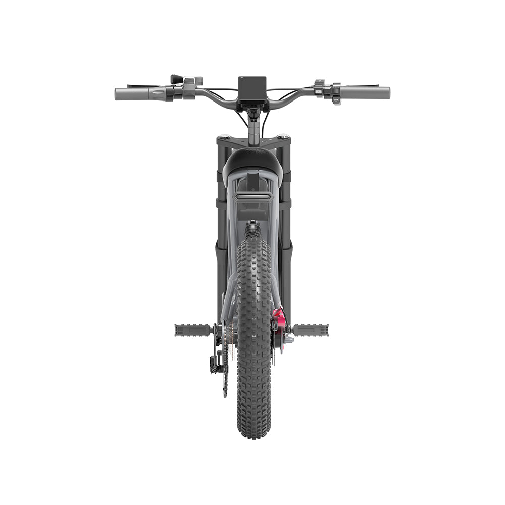 DISIYUAN 20*4.0 500W 750W 1000W big power Fat tire electric Mountain E bike/Snow bike/electric bicycle