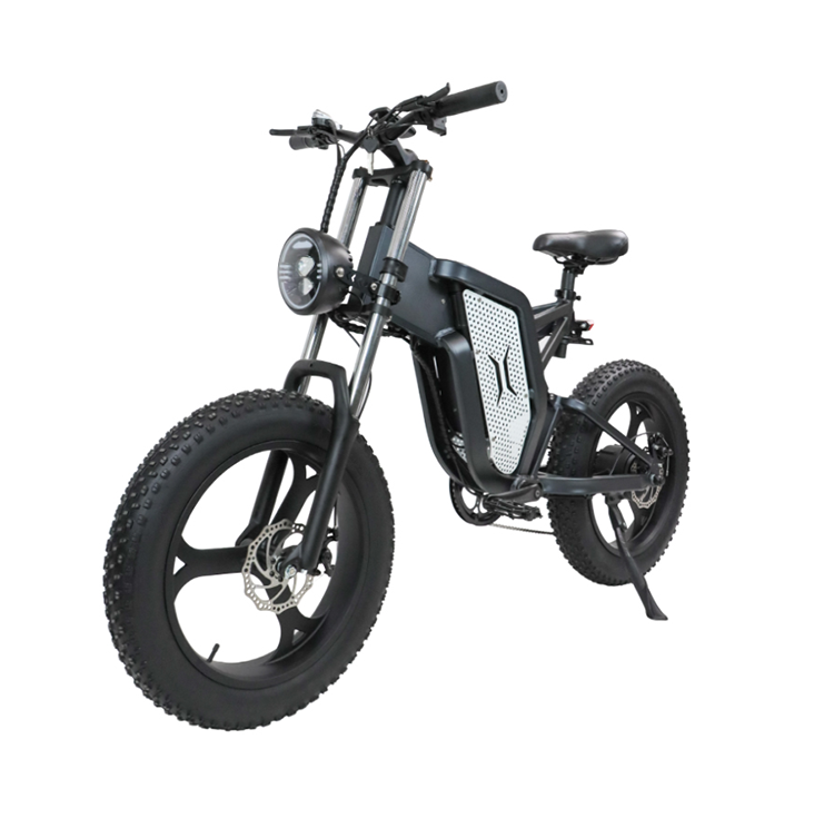 high speed Velo Electrique Bicicleta electrica Pedal fat tire off road Electric mountain dirt bike for adult