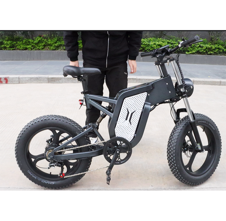 high speed Velo Electrique Bicicleta electrica Pedal fat tire off road Electric mountain dirt bike for adult