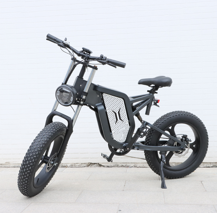 high speed Velo Electrique Bicicleta electrica Pedal fat tire off road Electric mountain dirt bike for adult