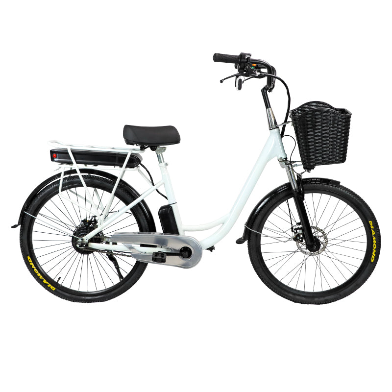 Drop ship China Factory cheap aluminum alloy 350W 500W 1000W 36V 48V 10ah 15ah 26inch 2 seat e-bike electric city bike adult