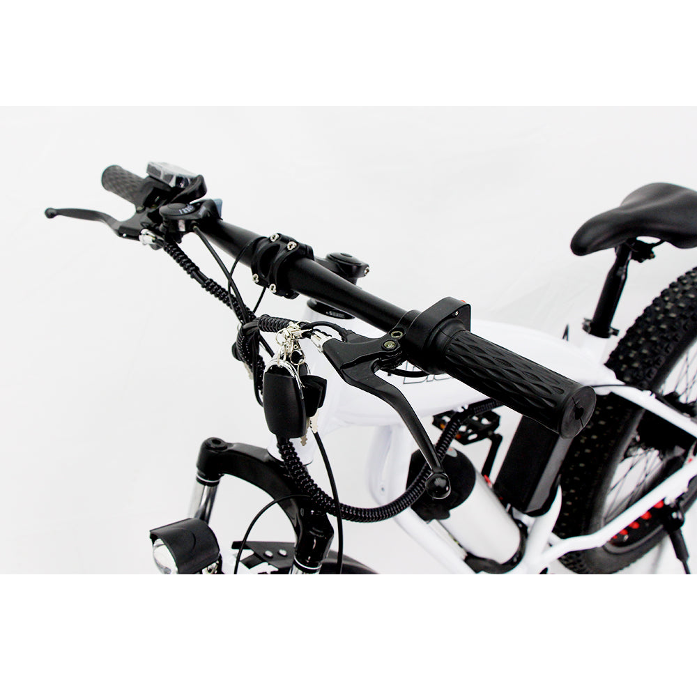 DISIYUAN Electric Mountain Bicycle E MTB Battery Electric Bicycle Off-Road Fat Tire Electric Bike 1000w Ebike